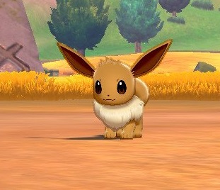 ソードシールド】イーブイの入手方法と進化先一覧【ポケモン剣盾
