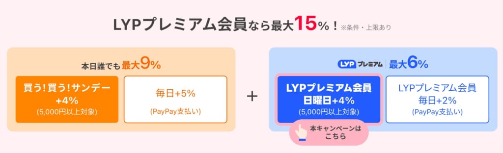 プレミアムな日曜日