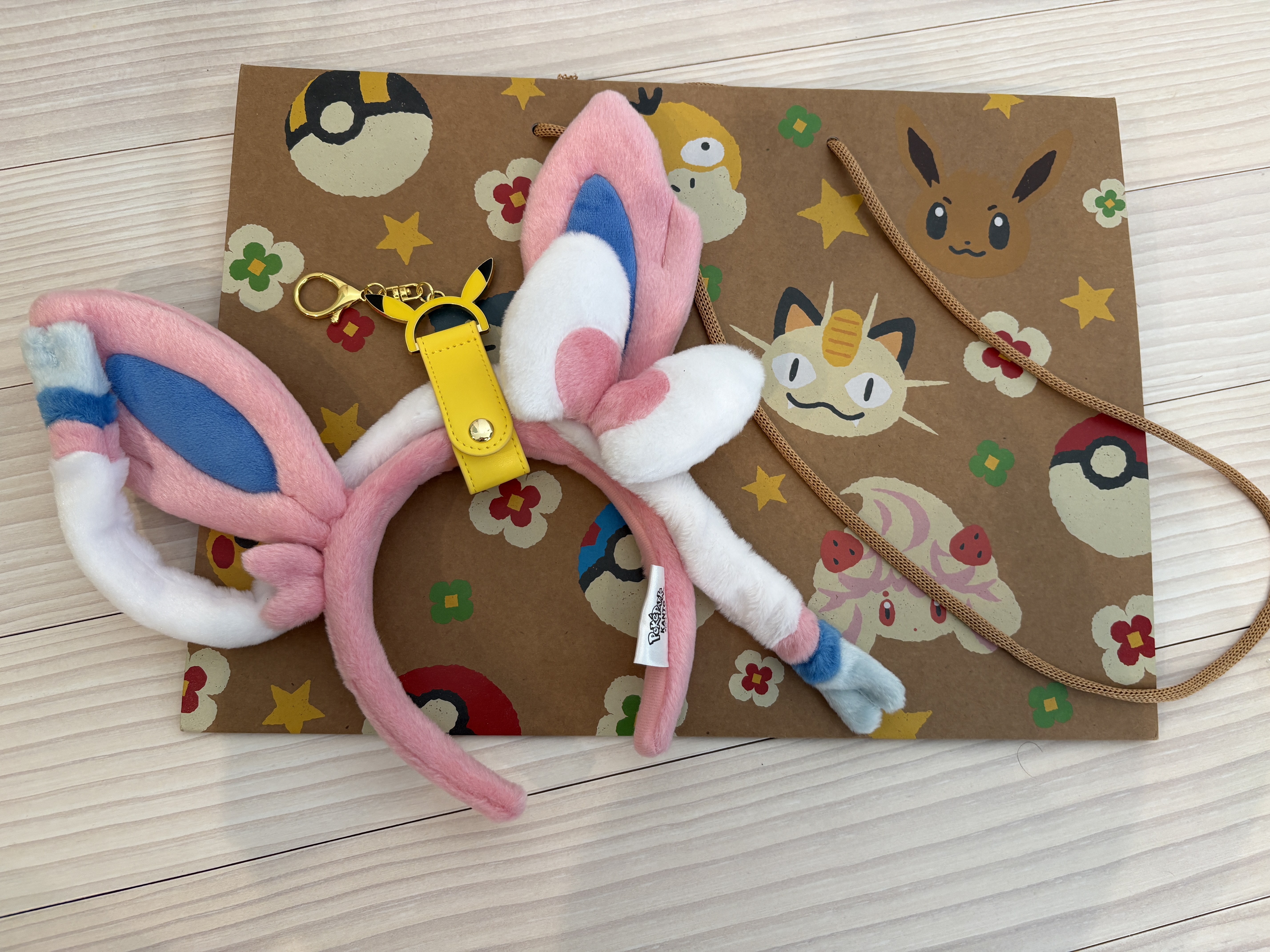 ポケパークカントー攻略】行く前に知りたい回り方・整理券・持ち物