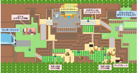 15番道路