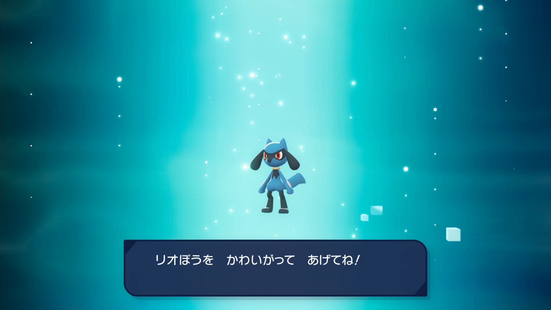 ピカチュウ　リオル　ルカリオ ピカチュウ」と「リオル＆ルカリオ」をモチーフにした、2種類の